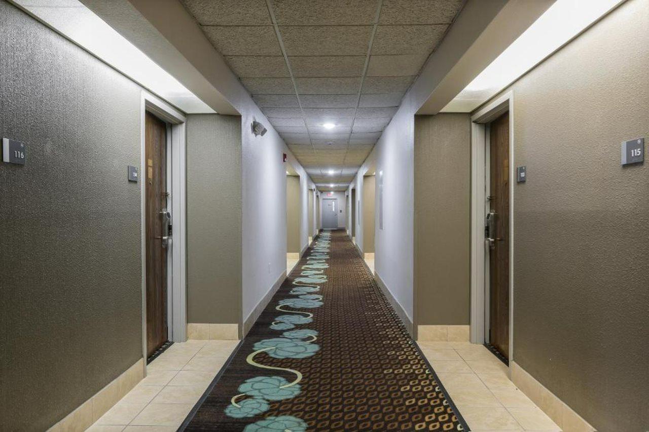 Bliss Point Inn & Suites New Buffalo Kültér fotó